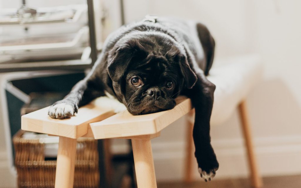 Some days just feel… off (and that’s okay) Low energy day